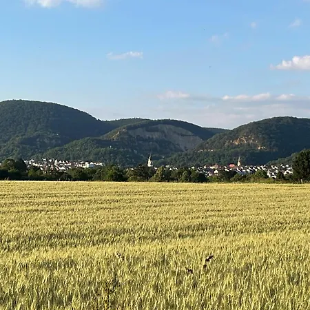 Apartamento Mit Küche Balkon Parkplatz In Der Nähe Von Heidelberg Dossenheim