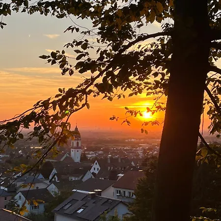 Mit Kueche Balkon Parkplatz In Der Naehe Von Heidelberg Dossenheim